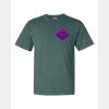 Comfort Colors Adult Heavyweight Tee Thumbnail